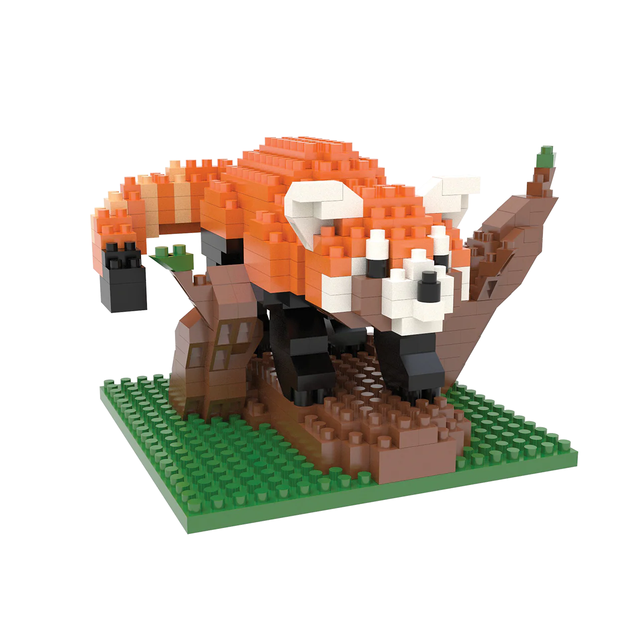 Red Panda - Image 4