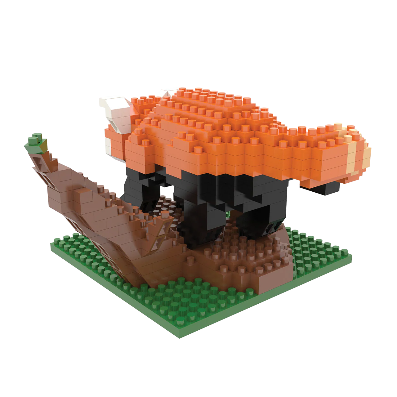 Red Panda - Image 5