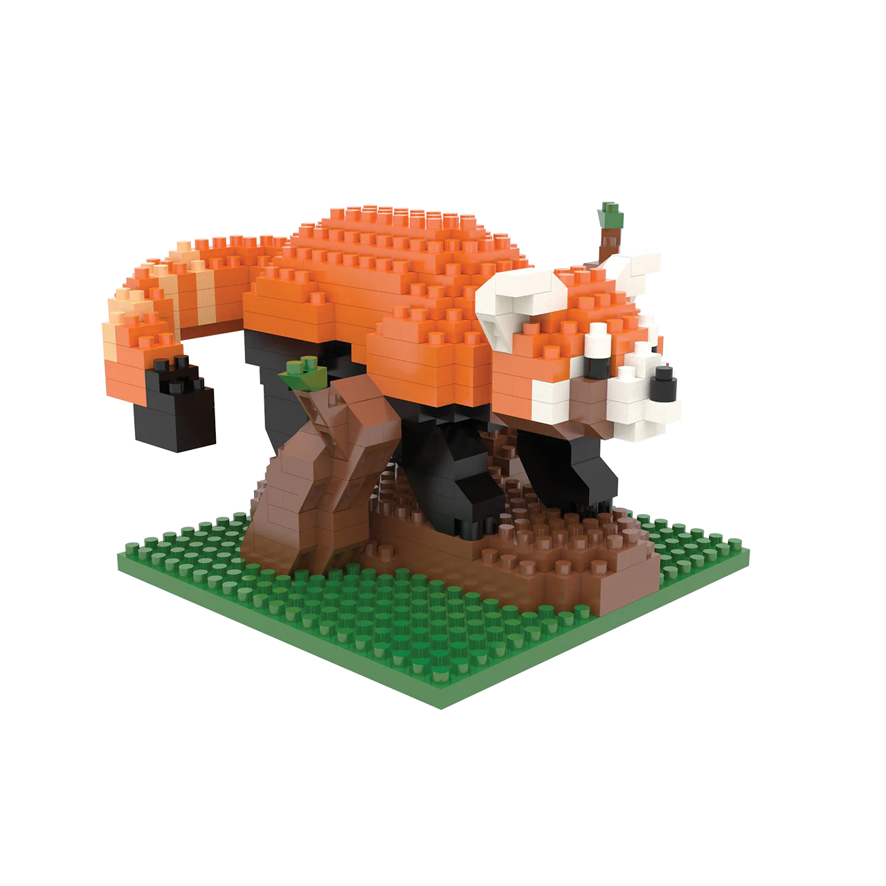 Red Panda - Image 6