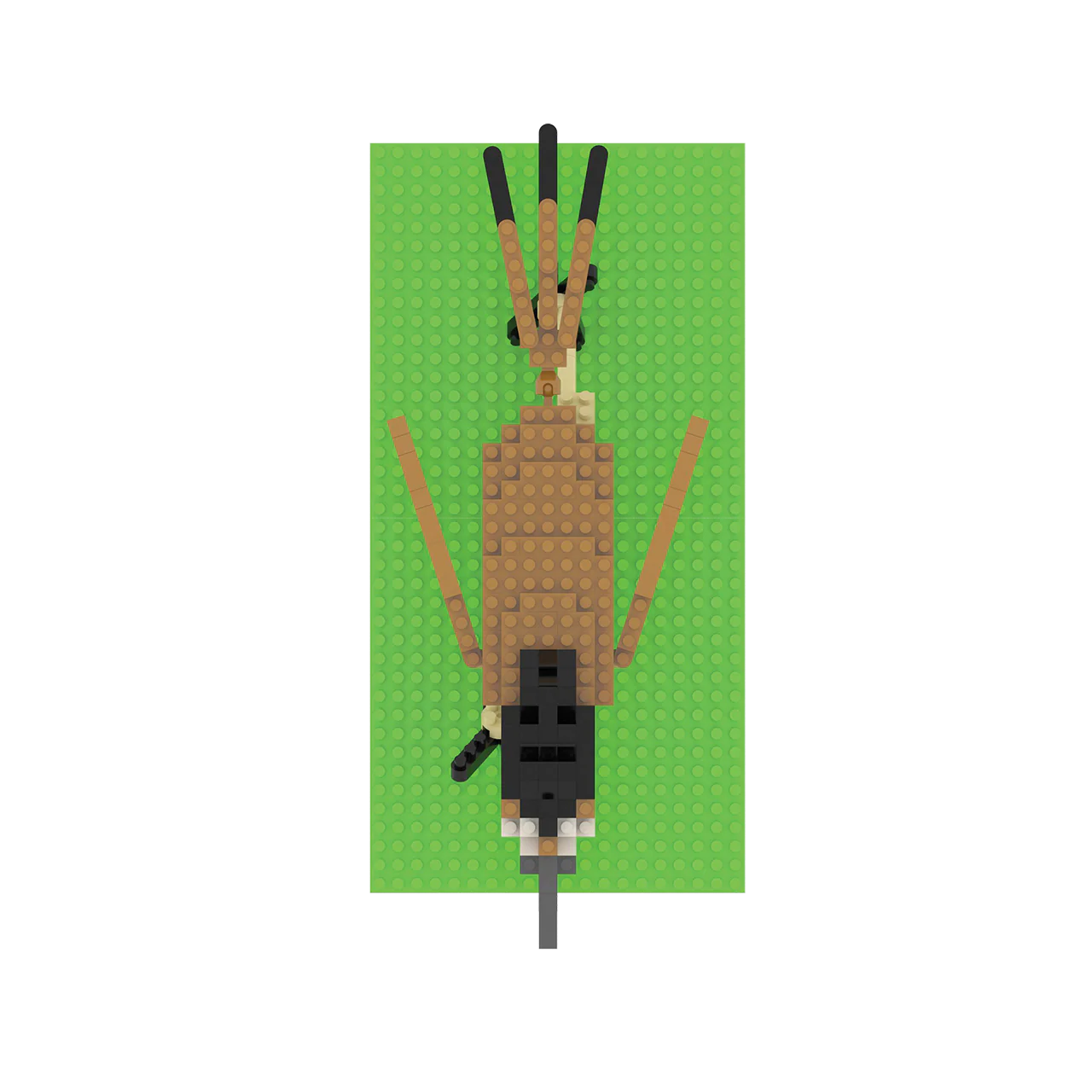 Roadrunner - Image 3