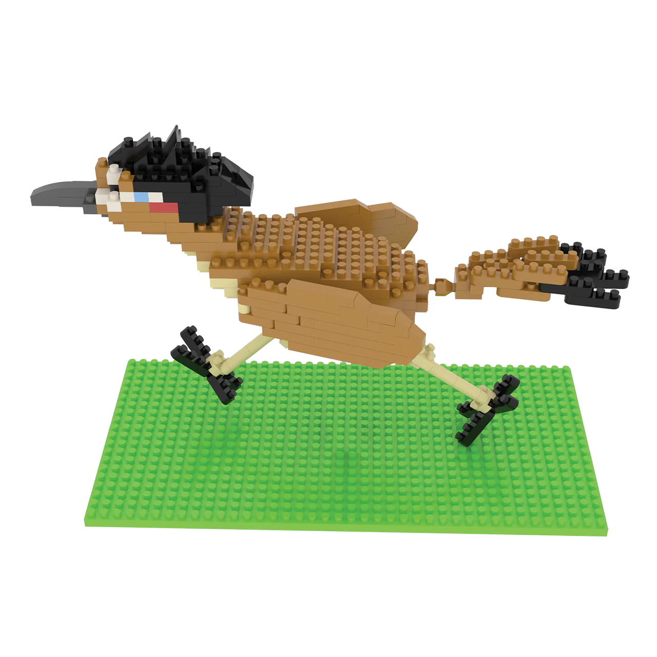 Roadrunner - Image 4
