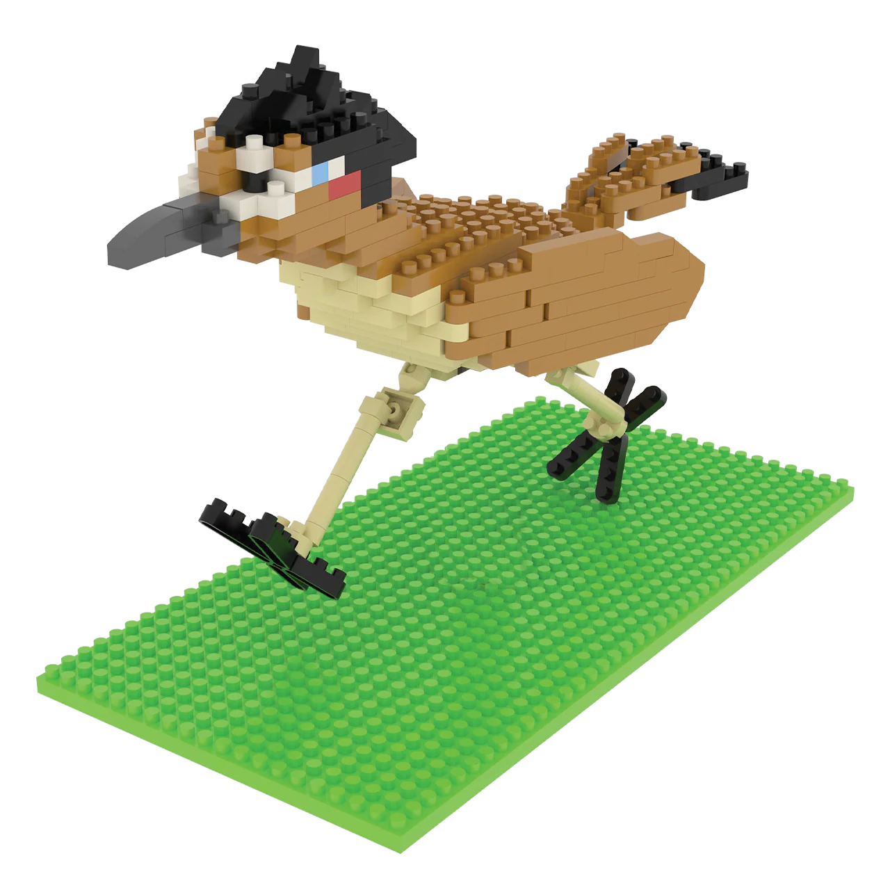 Roadrunner - Image 5