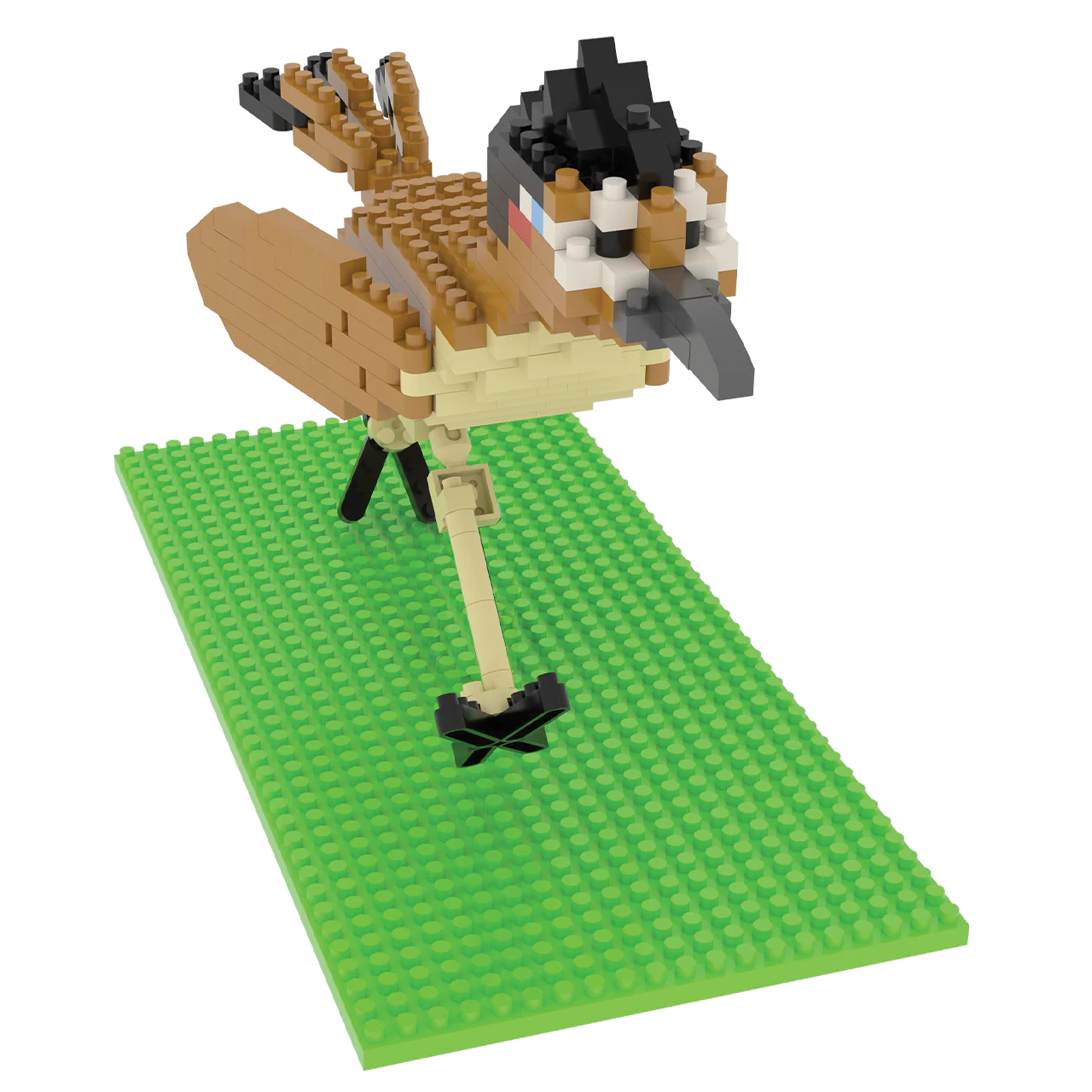 Roadrunner - Image 6