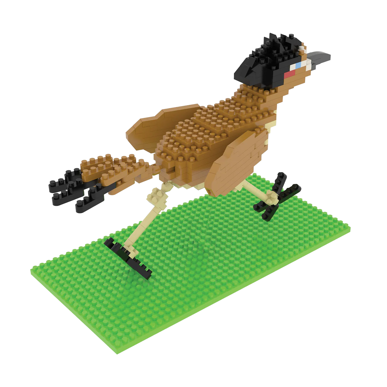 Roadrunner - Image 9