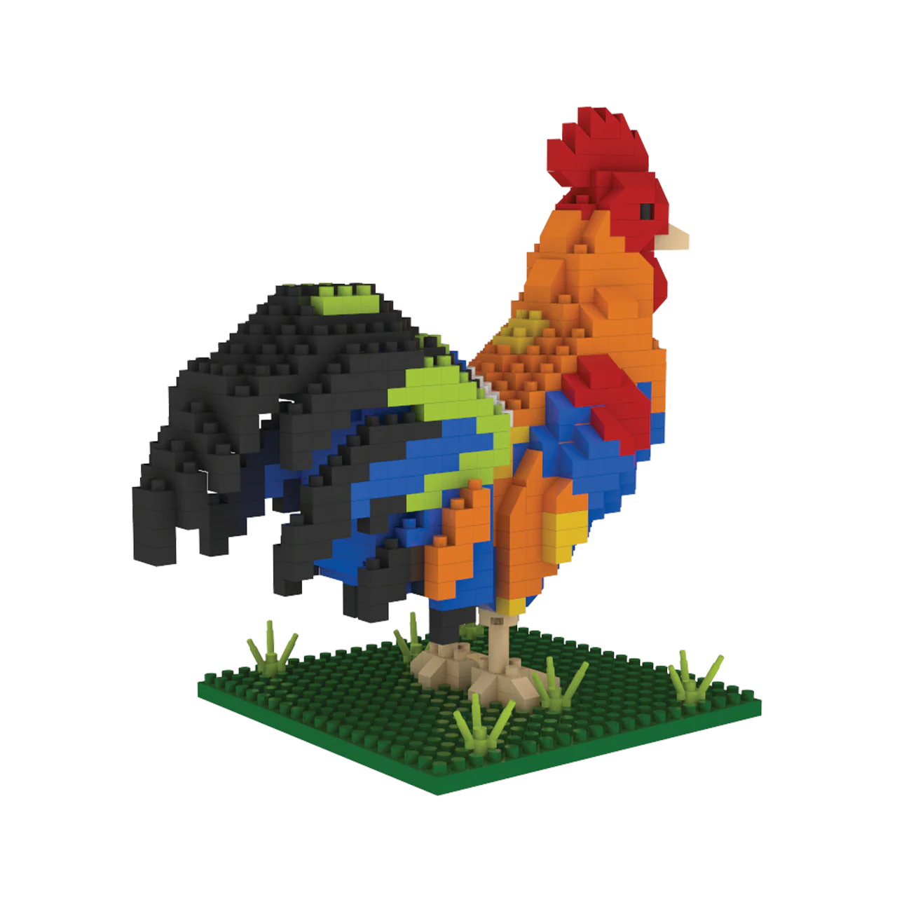 Rooster - Image 6