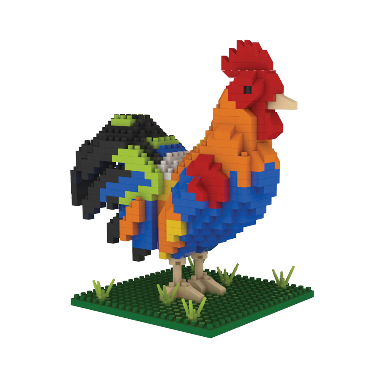 Rooster - Image 8