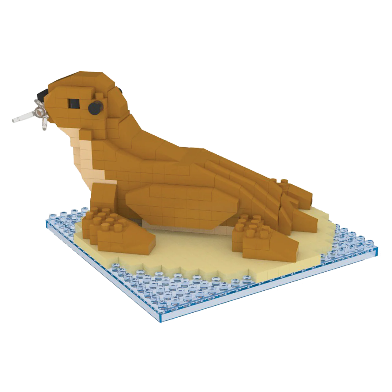 Sea Lion - Image 3