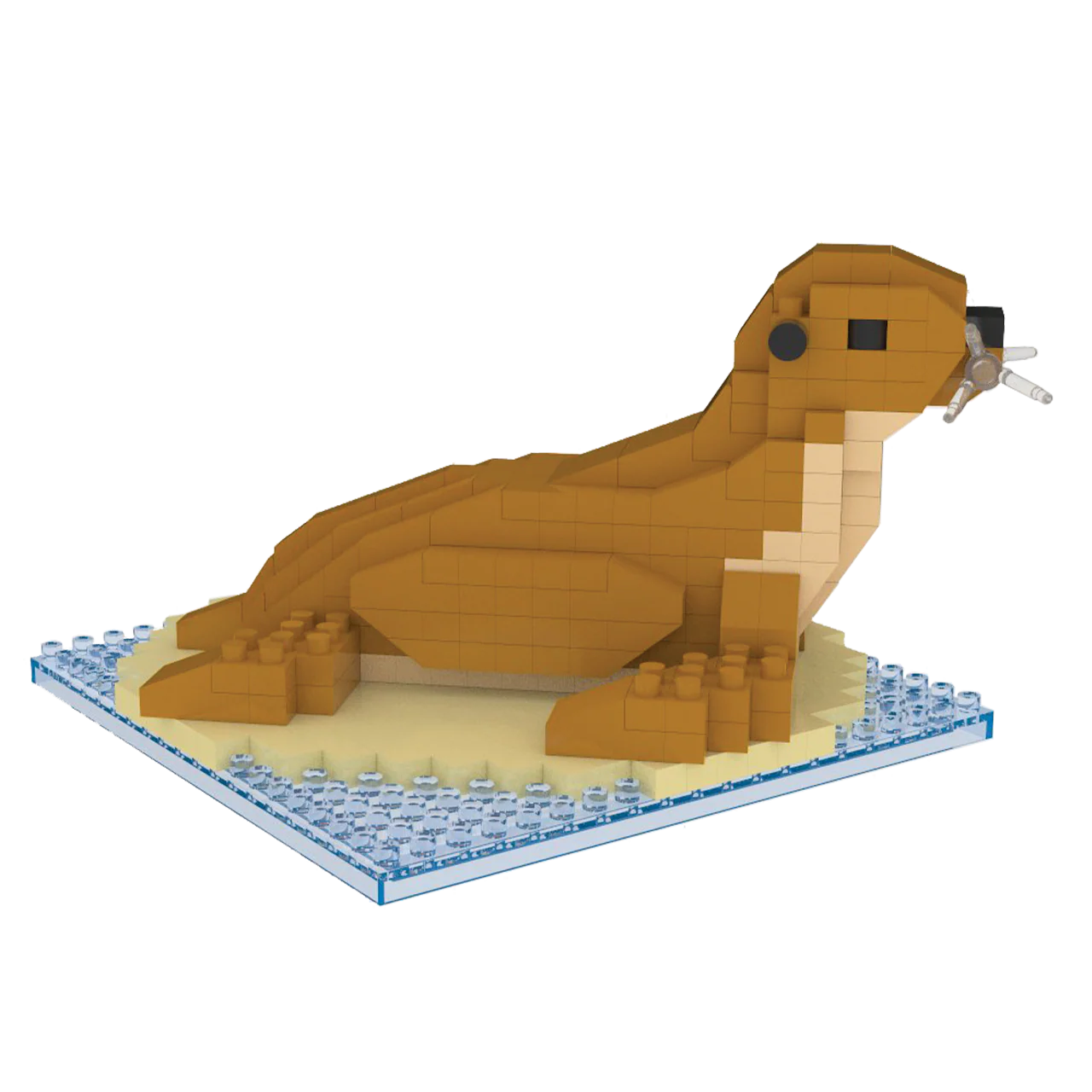 Sea Lion - Image 6