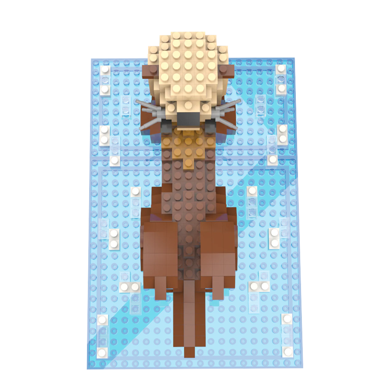 Sea Otter - Image 5