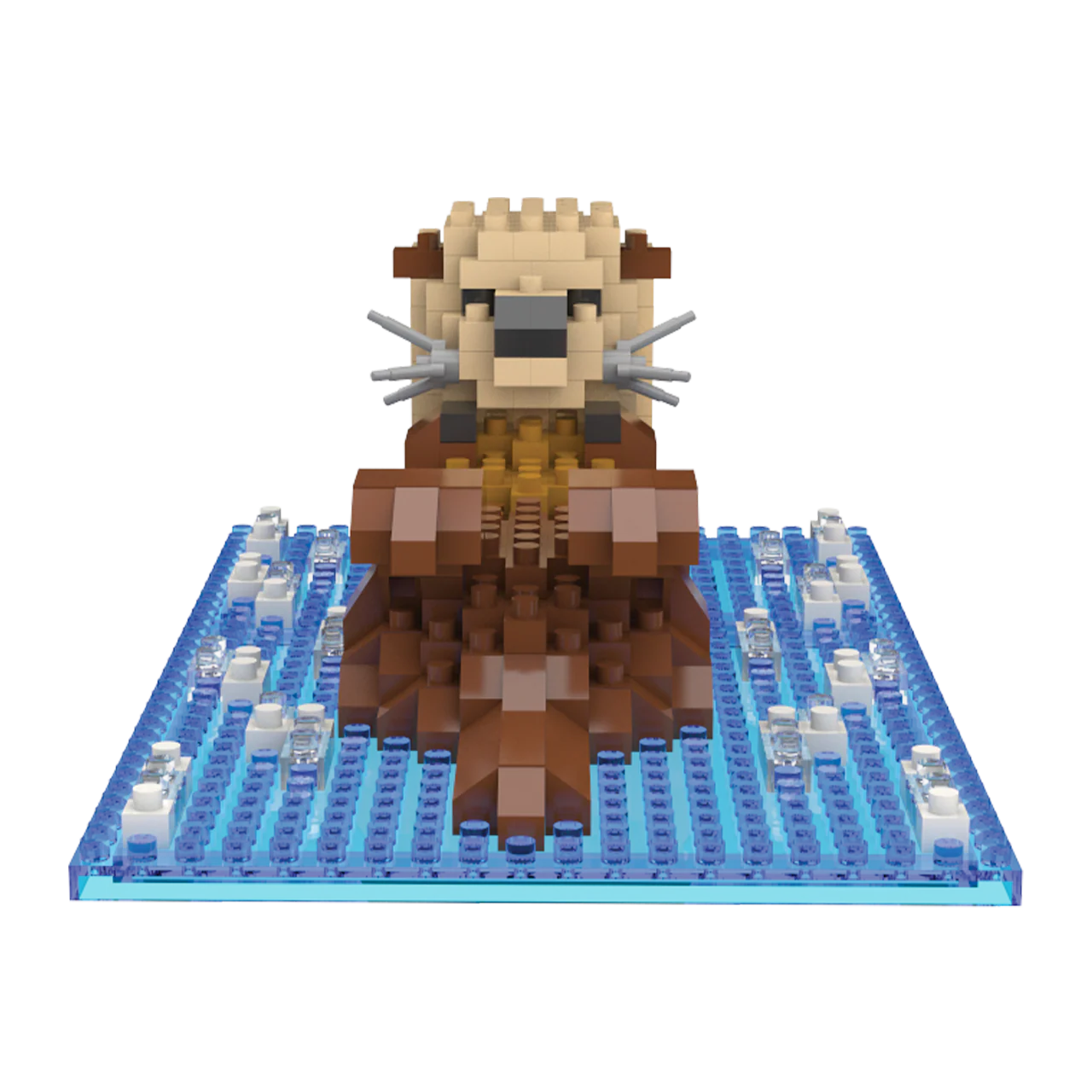 Sea Otter - Image 6