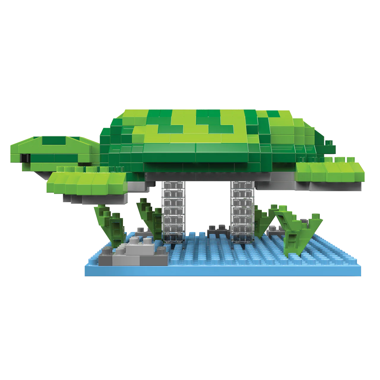 Sea Turtle - Image 3