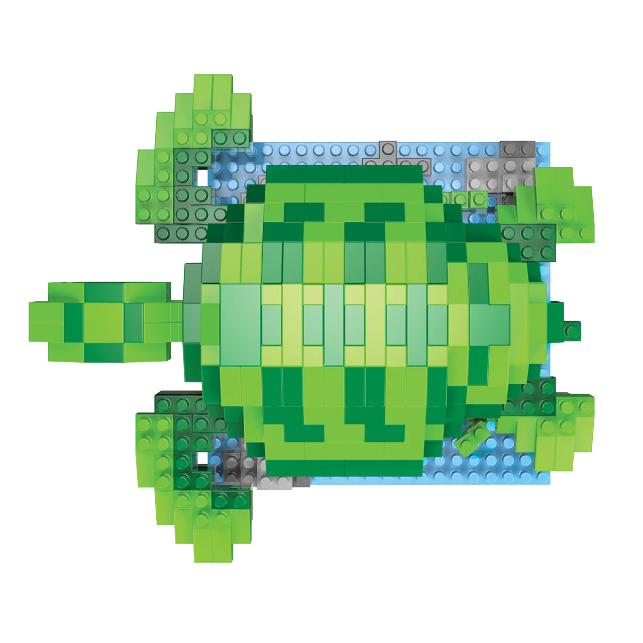 Sea Turtle - Image 4
