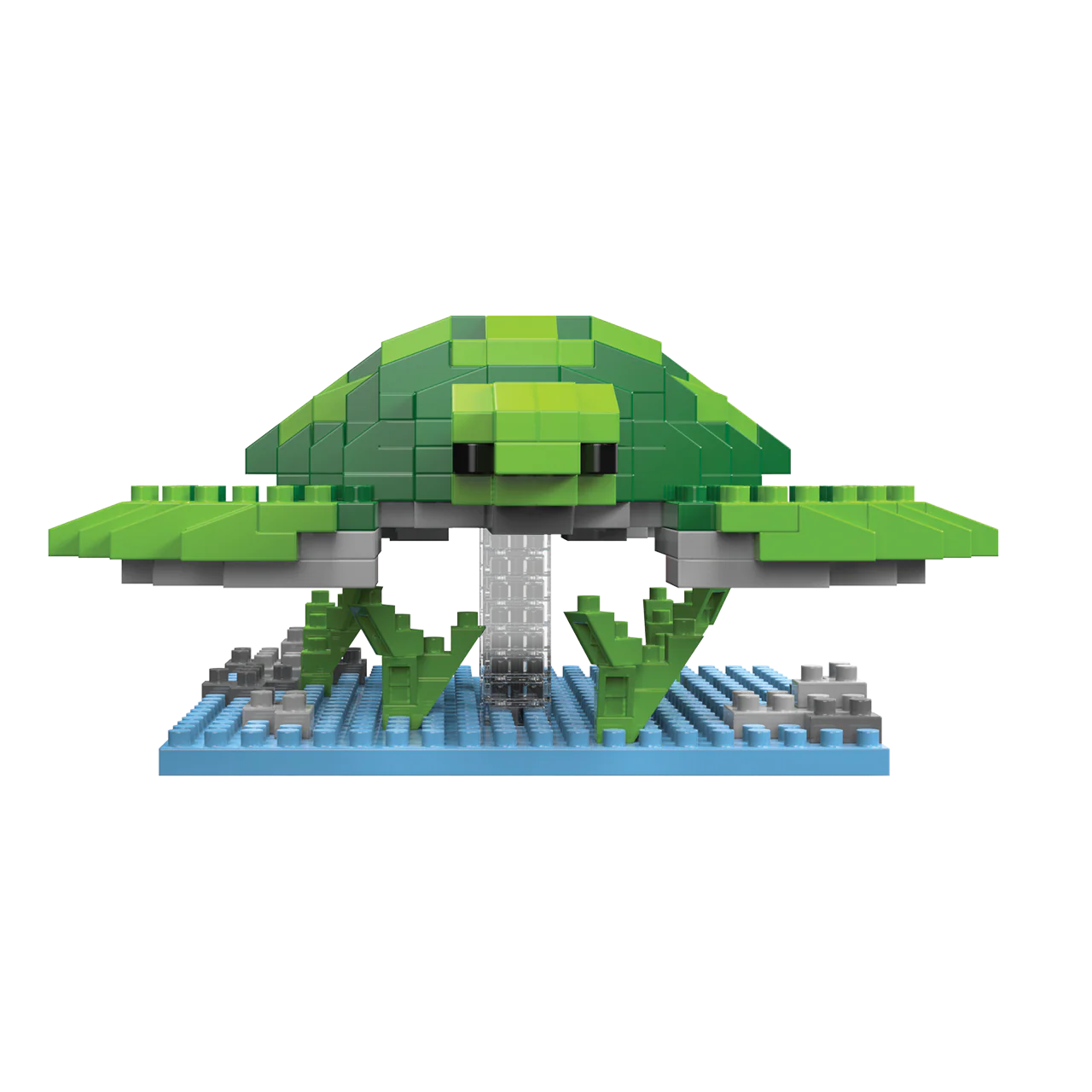 Sea Turtle - Image 5