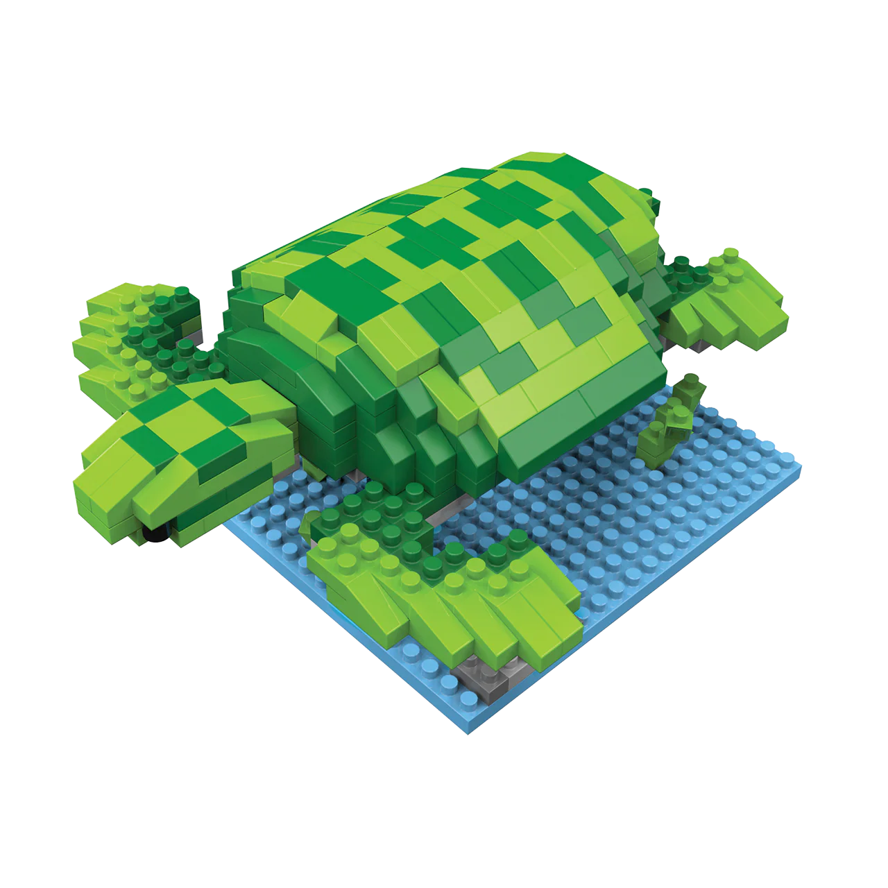 Sea Turtle - Image 7