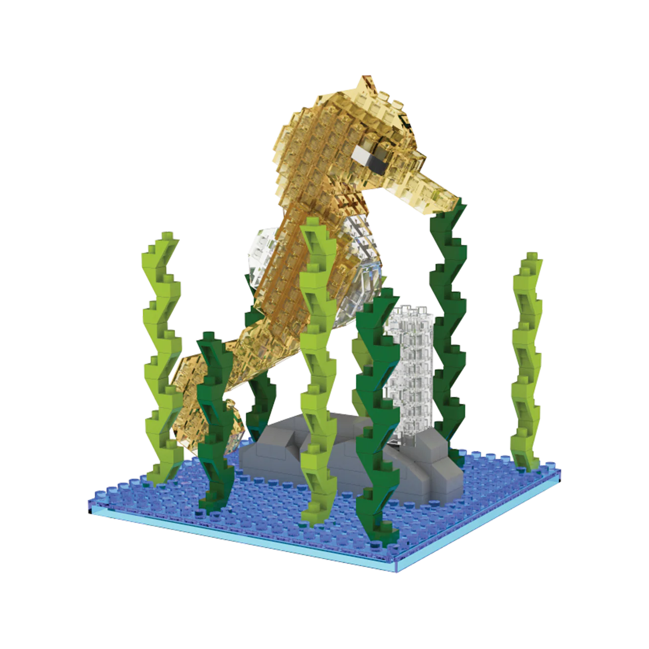 Seahorse - Image 3