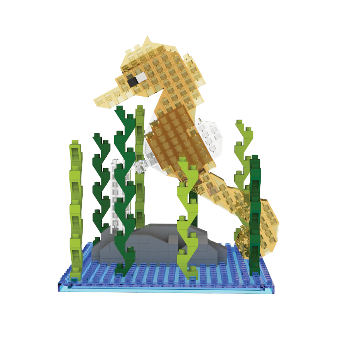 Seahorse - Image 6