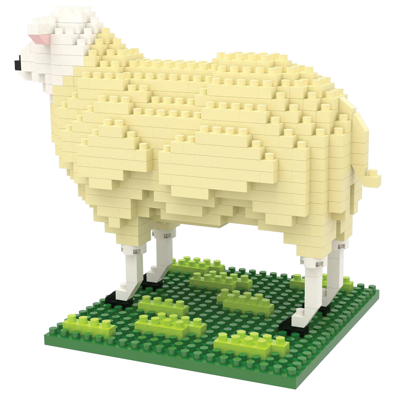 Sheep - Image 4