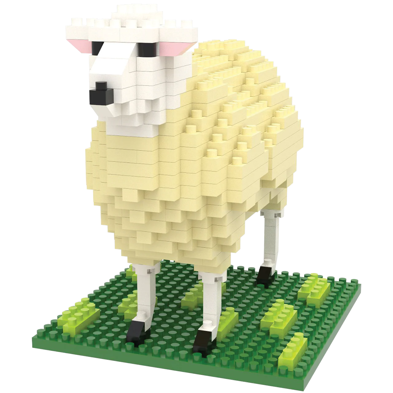 Sheep - Image 6