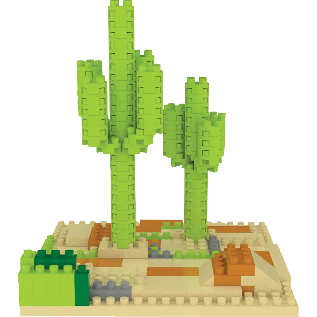 Sonoran Desert - Saguaro Cactus - Image 3