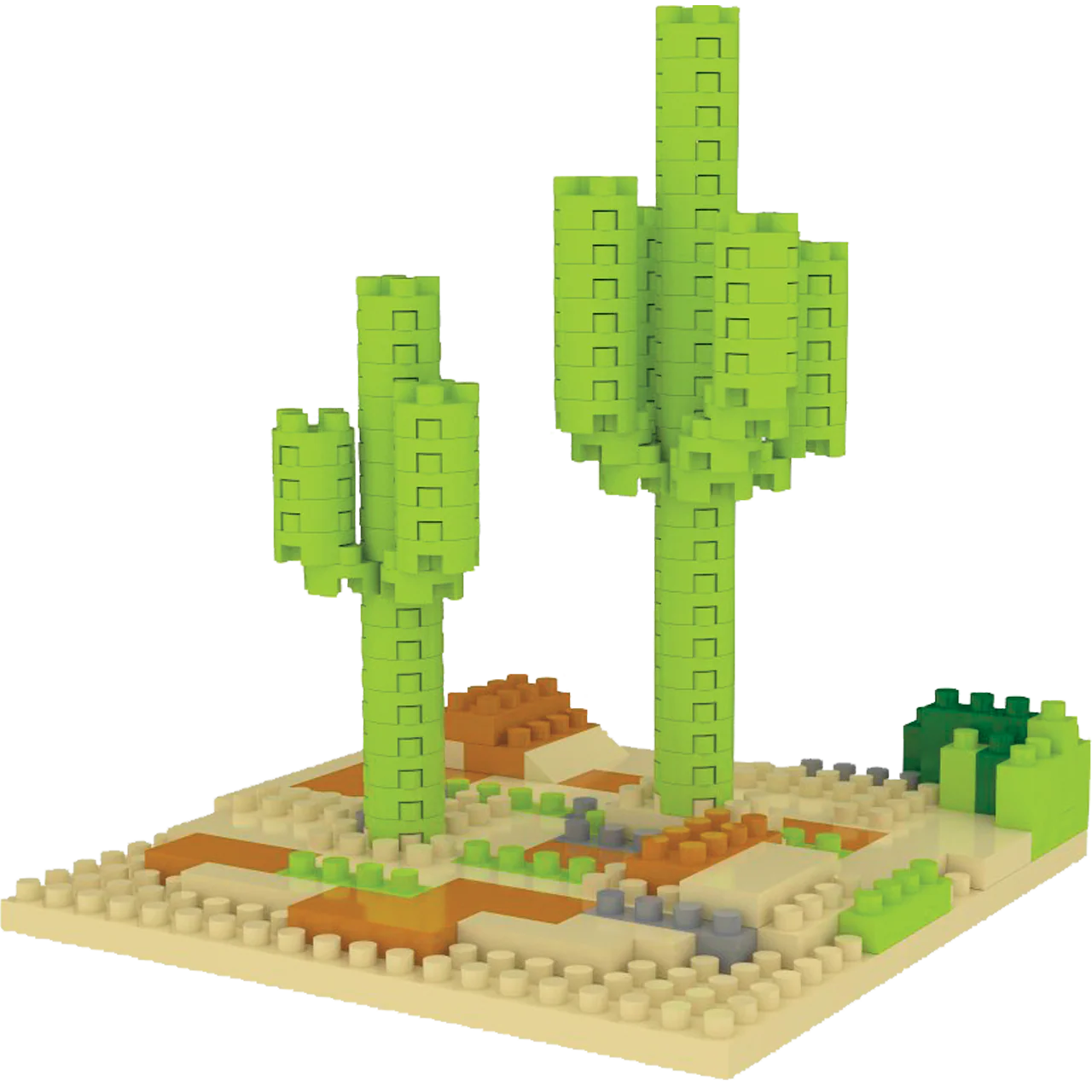 Sonoran Desert - Saguaro Cactus - Image 4