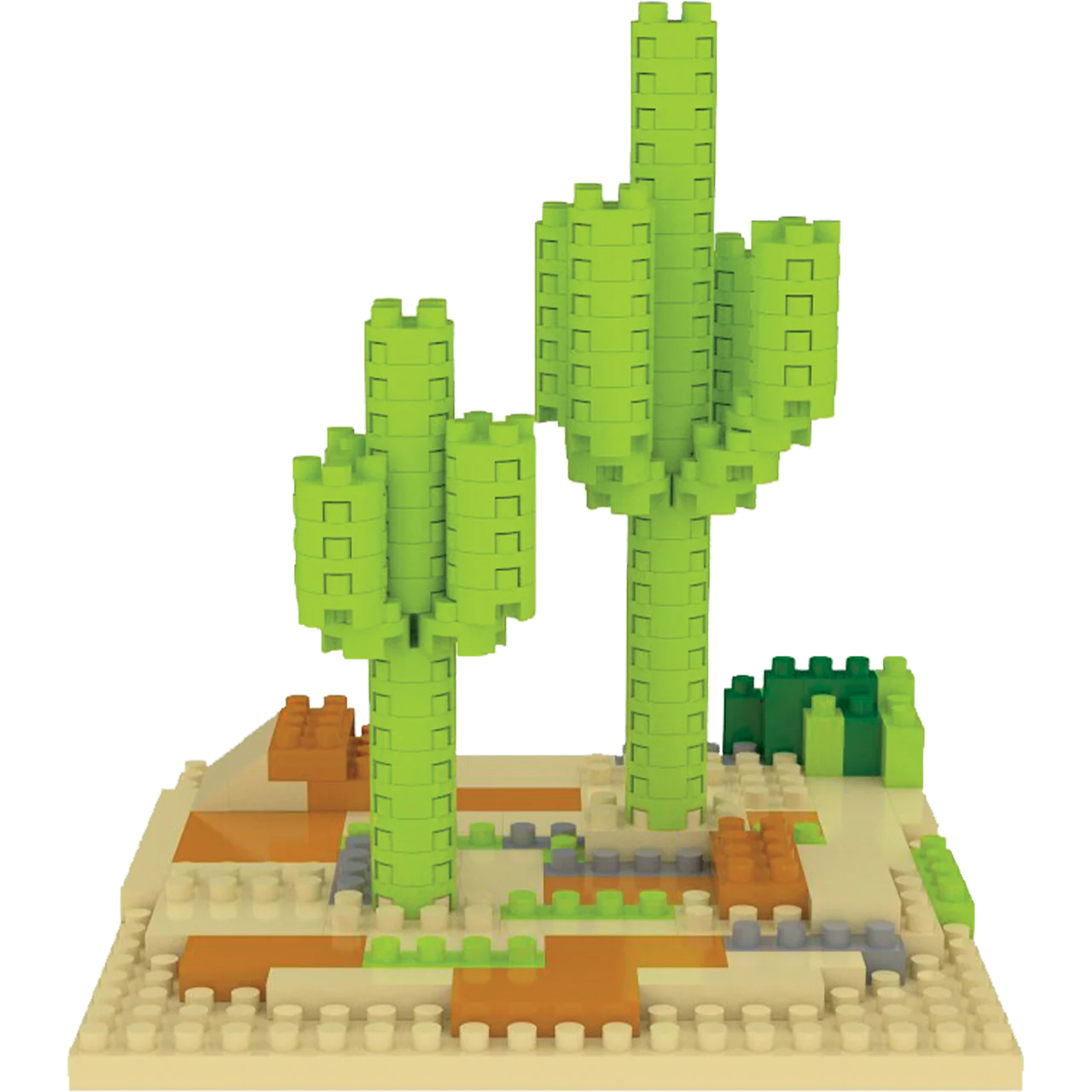Sonoran Desert - Saguaro Cactus - Image 7