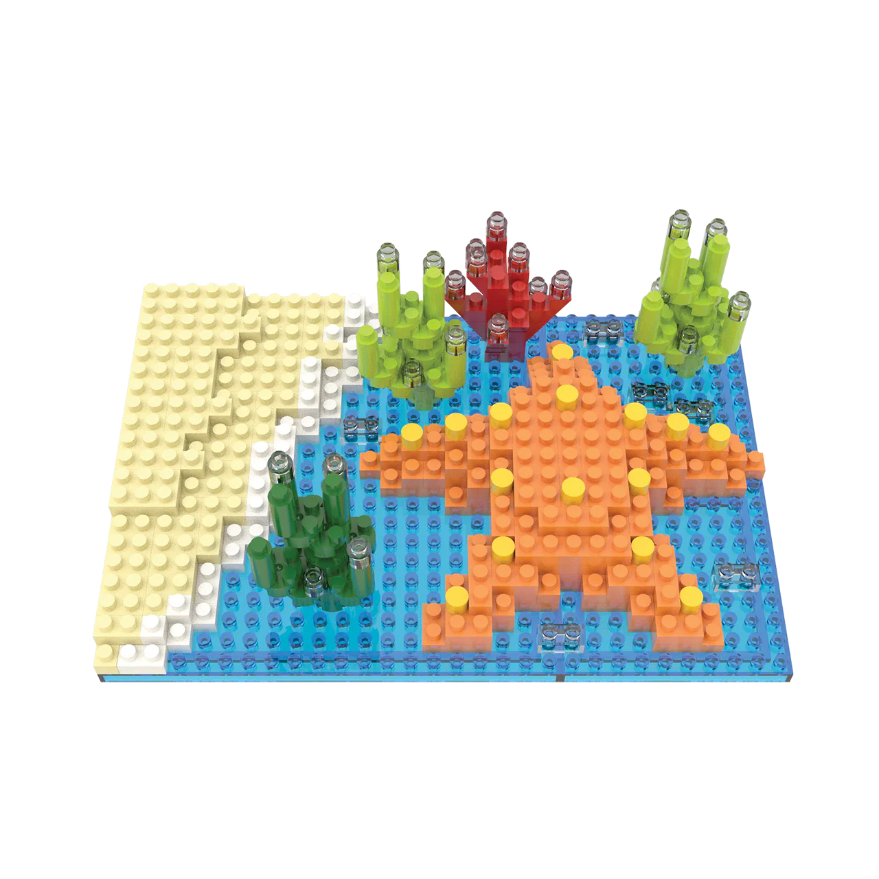 Starfish - Image 3