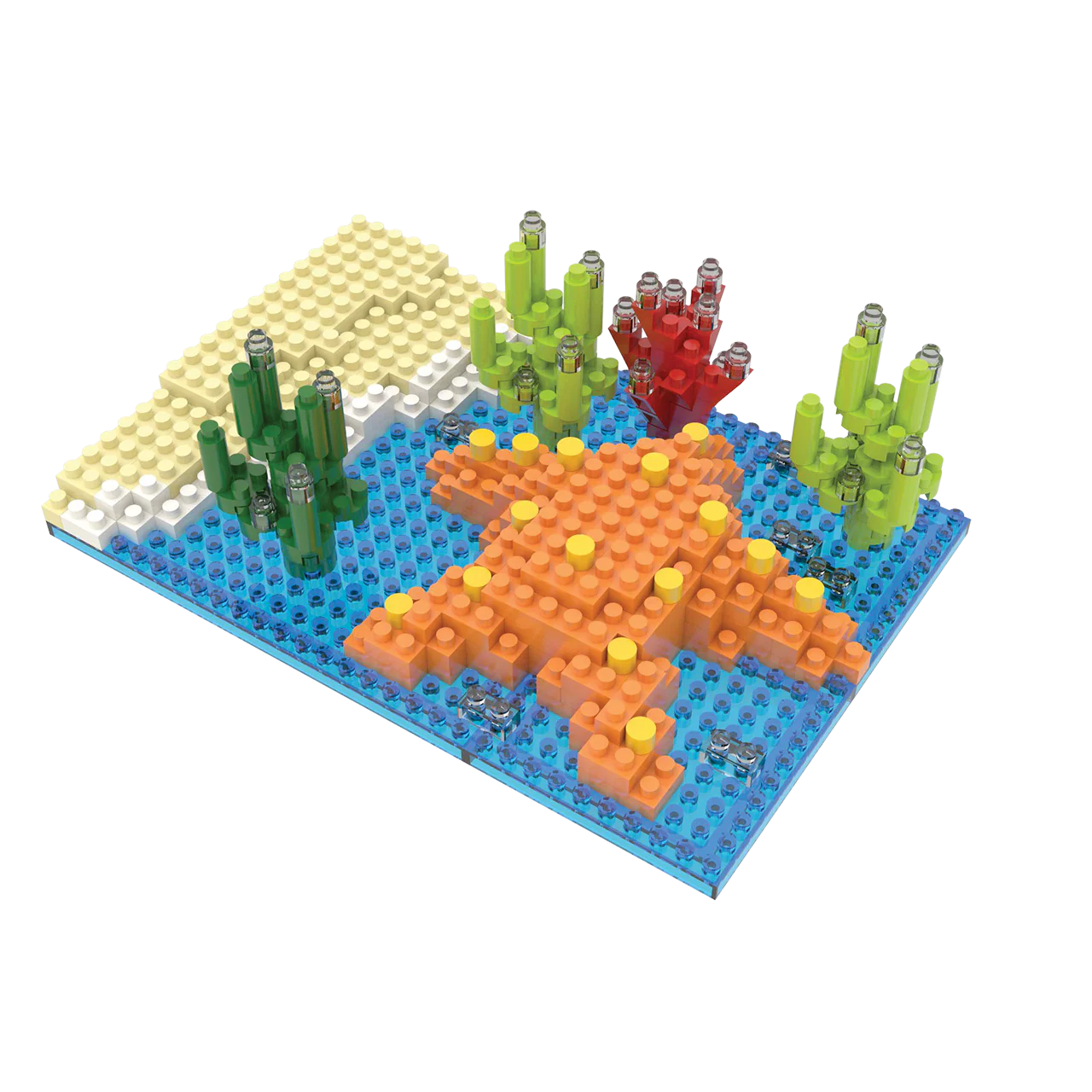 Starfish - Image 4