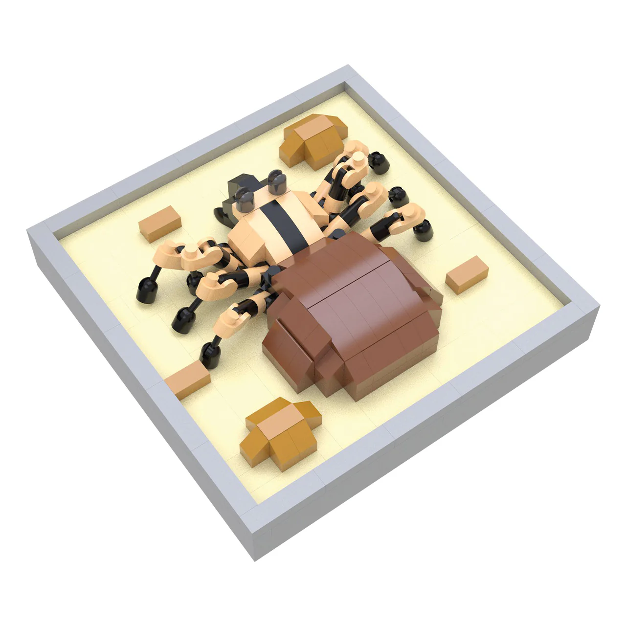 Tarantula Magnet - Image 3