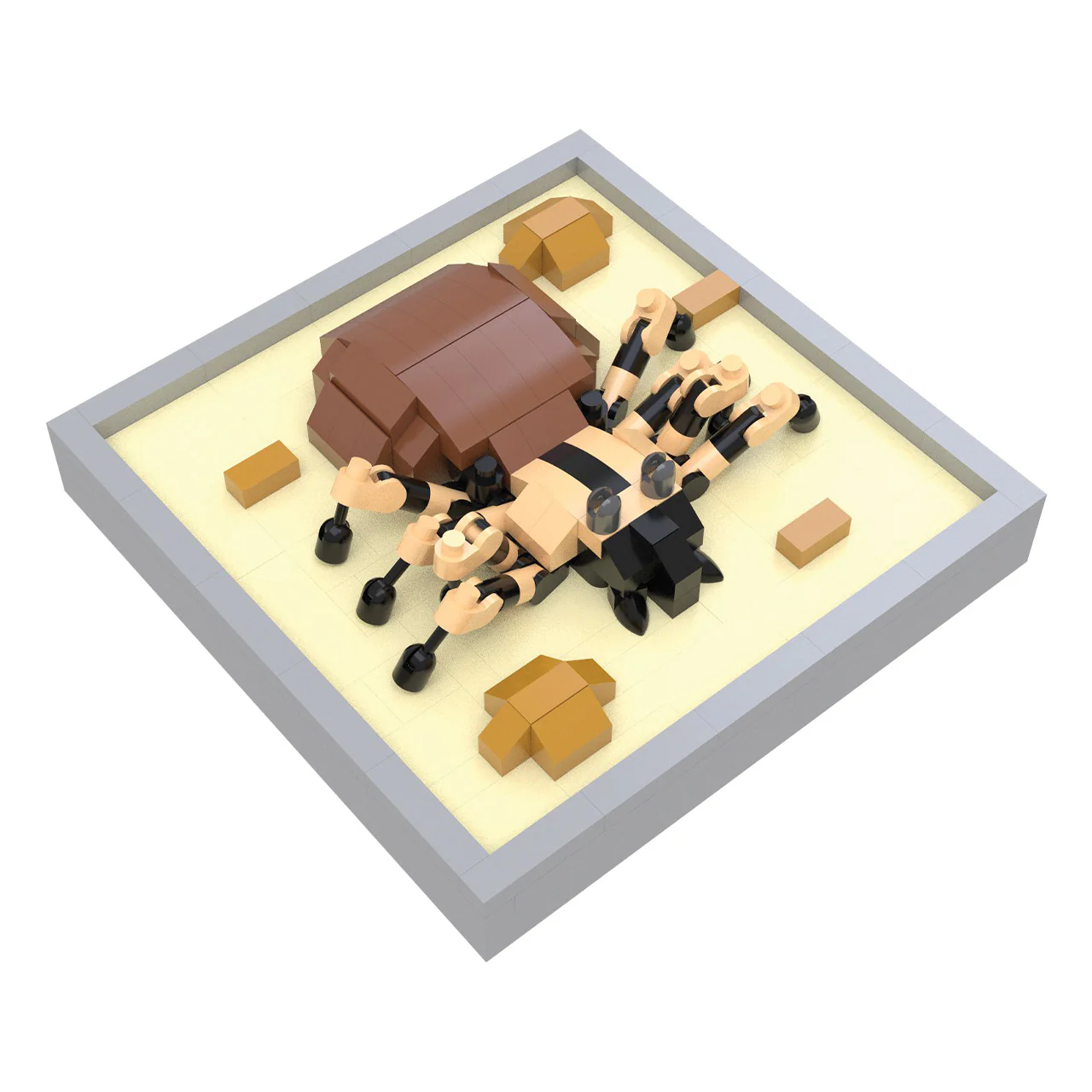 Tarantula Magnet - Image 4