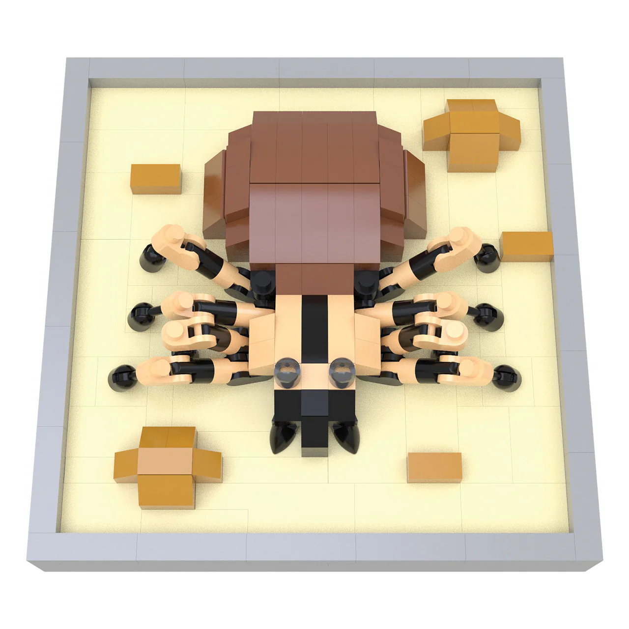 Tarantula Magnet - Image 6