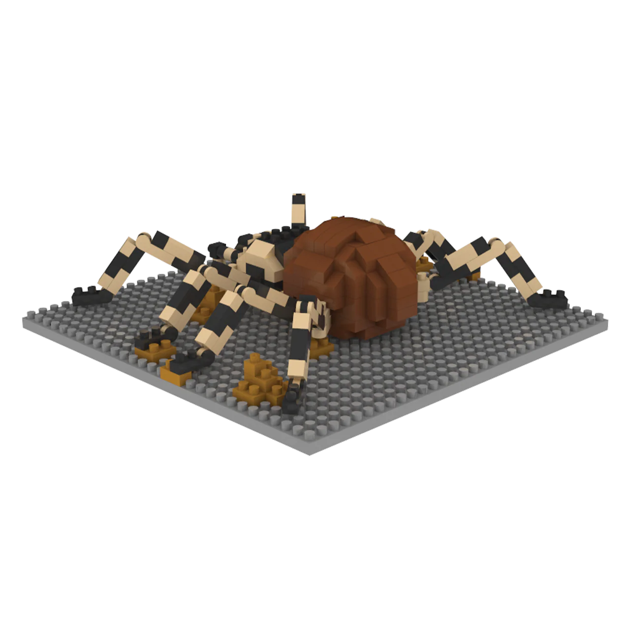 Tarantula - Image 6