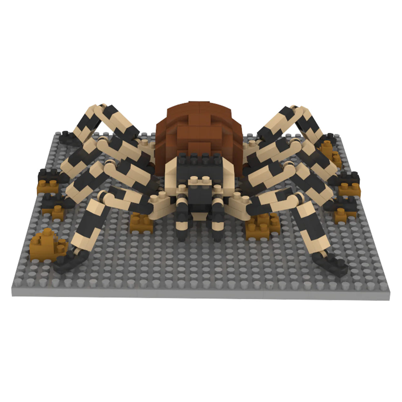 Tarantula - Image 7