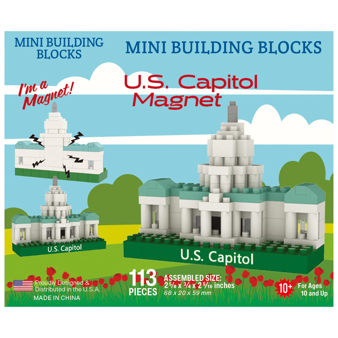 US Capitol Magnet - Image 5
