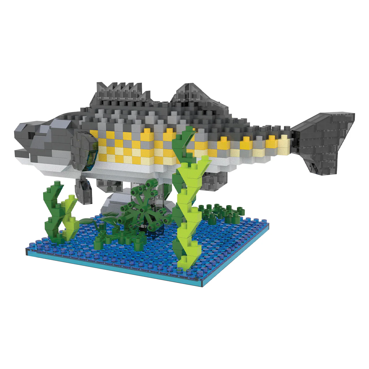Walleye - Image 5