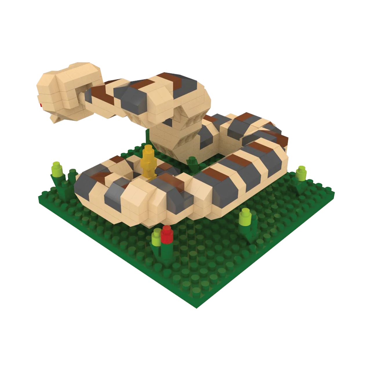 Western Diamondback Rattlesnake - Image 7
