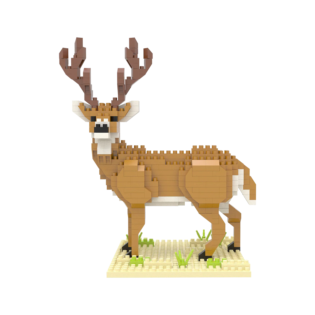 White-Tailed Buck - Image 3
