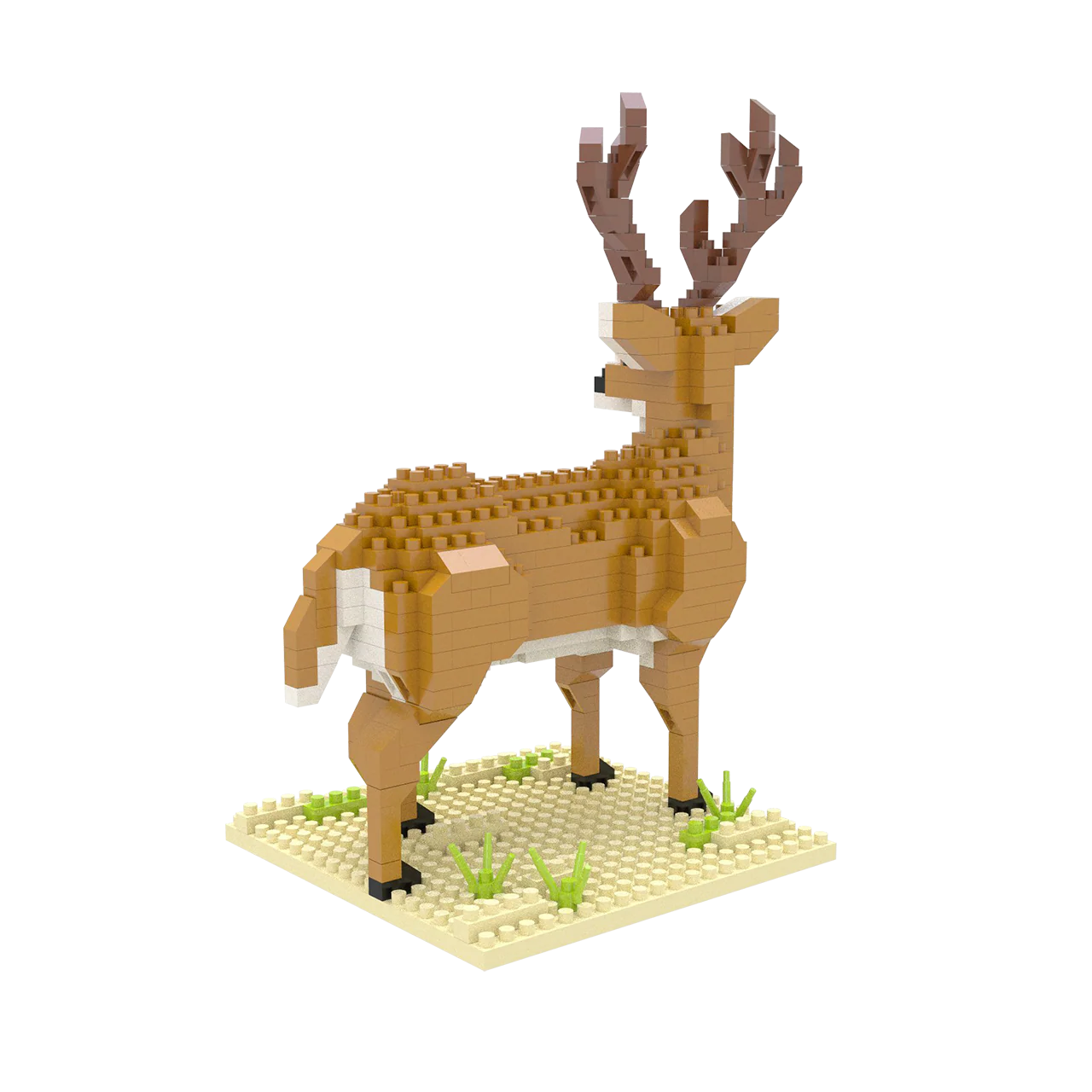 White-Tailed Buck - Image 4