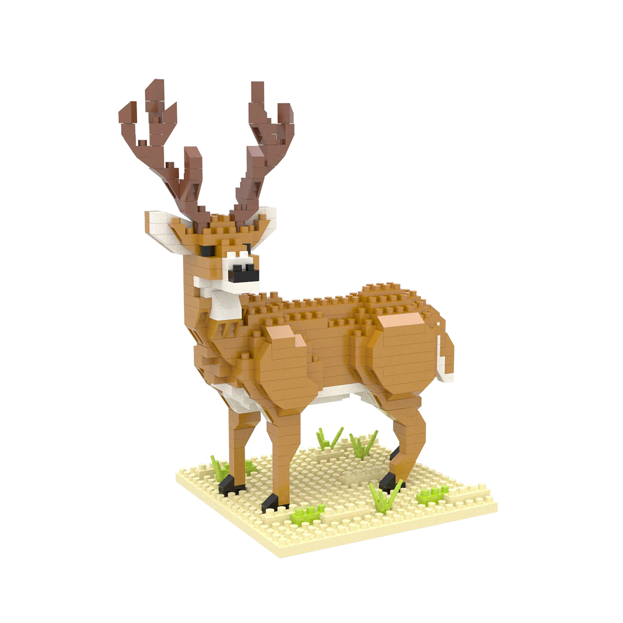 White-Tailed Buck - Image 5