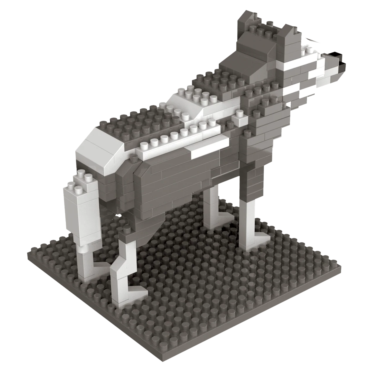 Wolf - Image 7