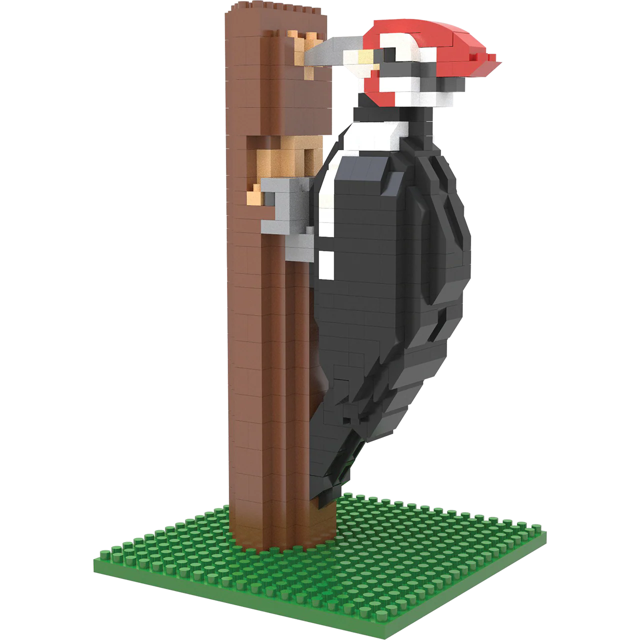 Woodpecker - Image 3