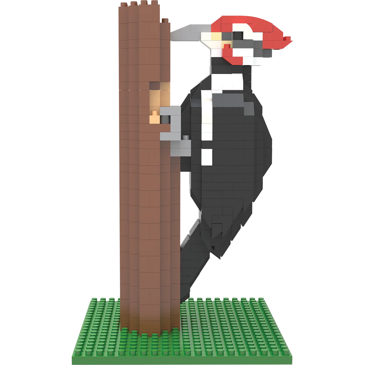 Woodpecker - Image 5