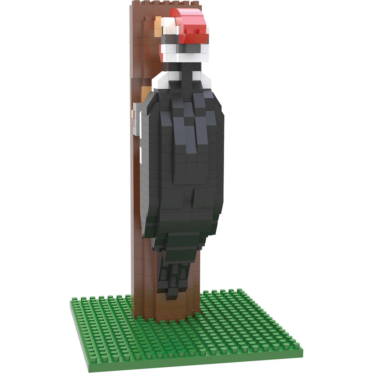 Woodpecker - Image 6