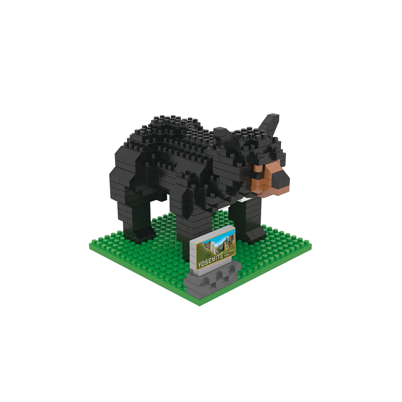 Yosemite Bear - Image 7