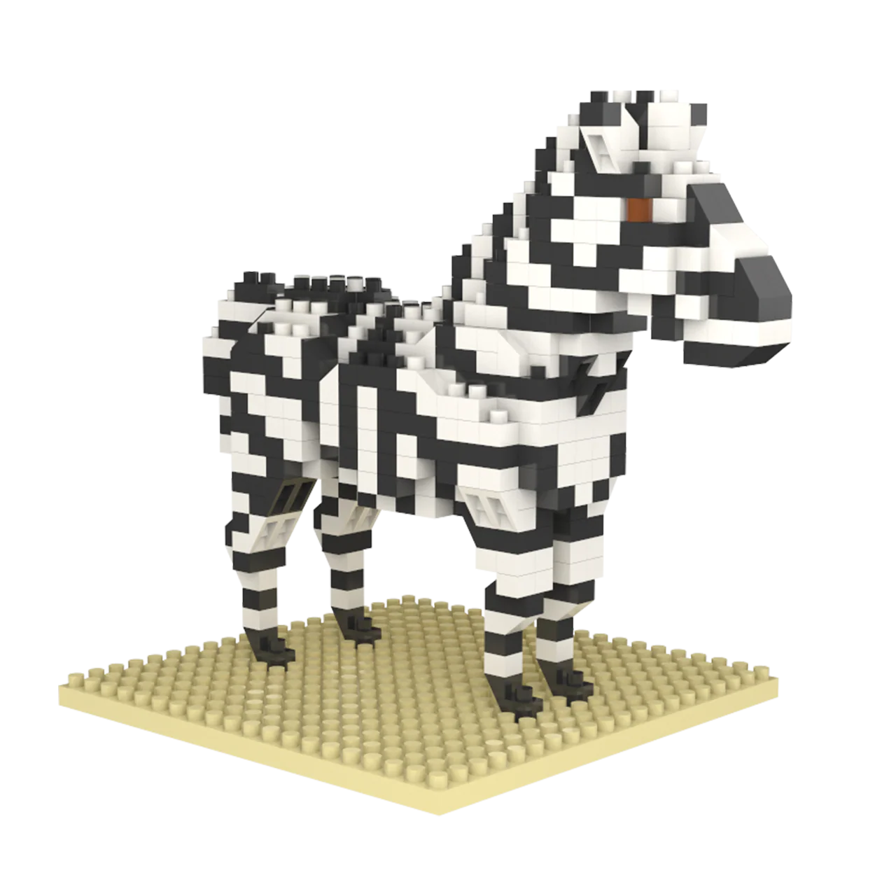 Zebra - Image 3