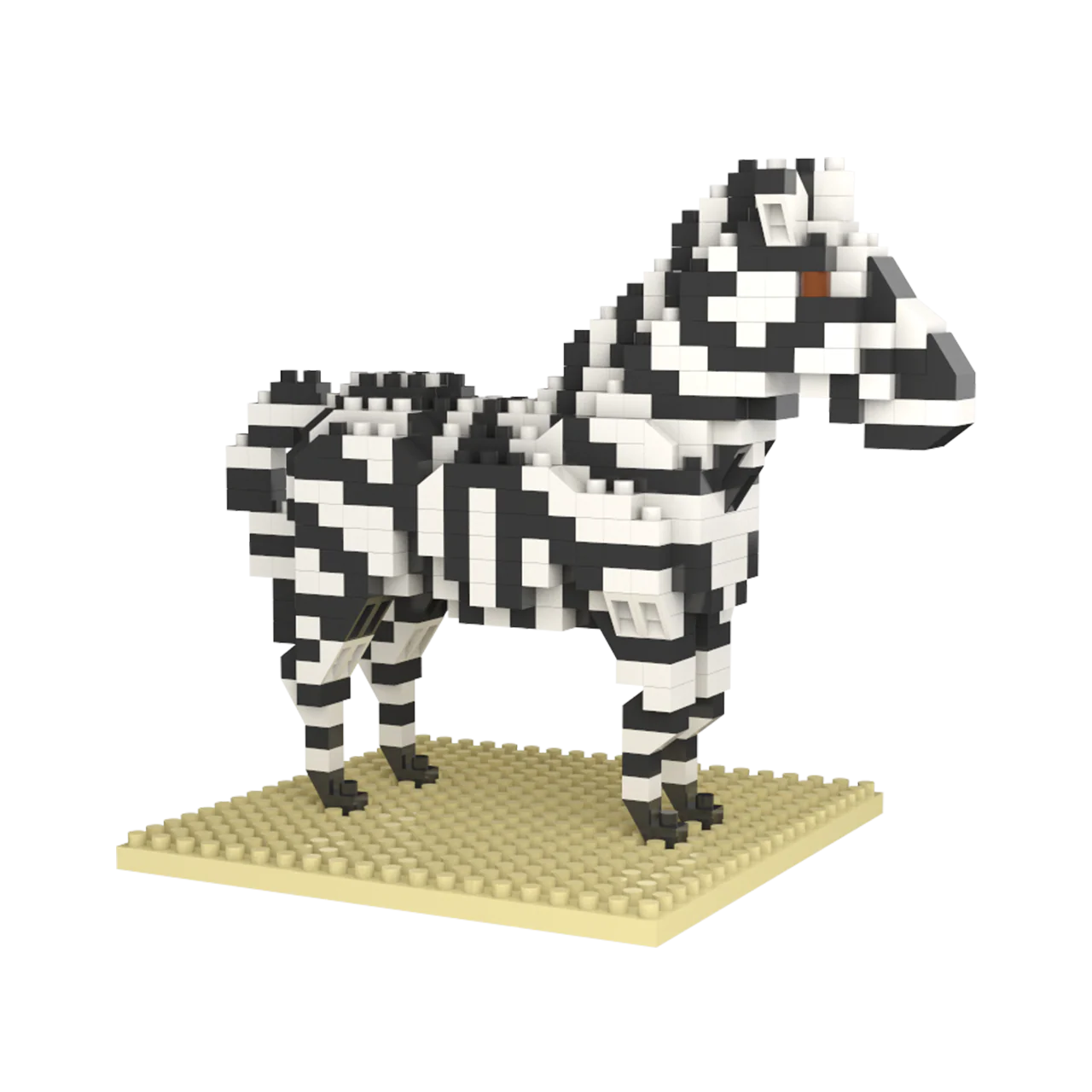 Zebra - Image 5