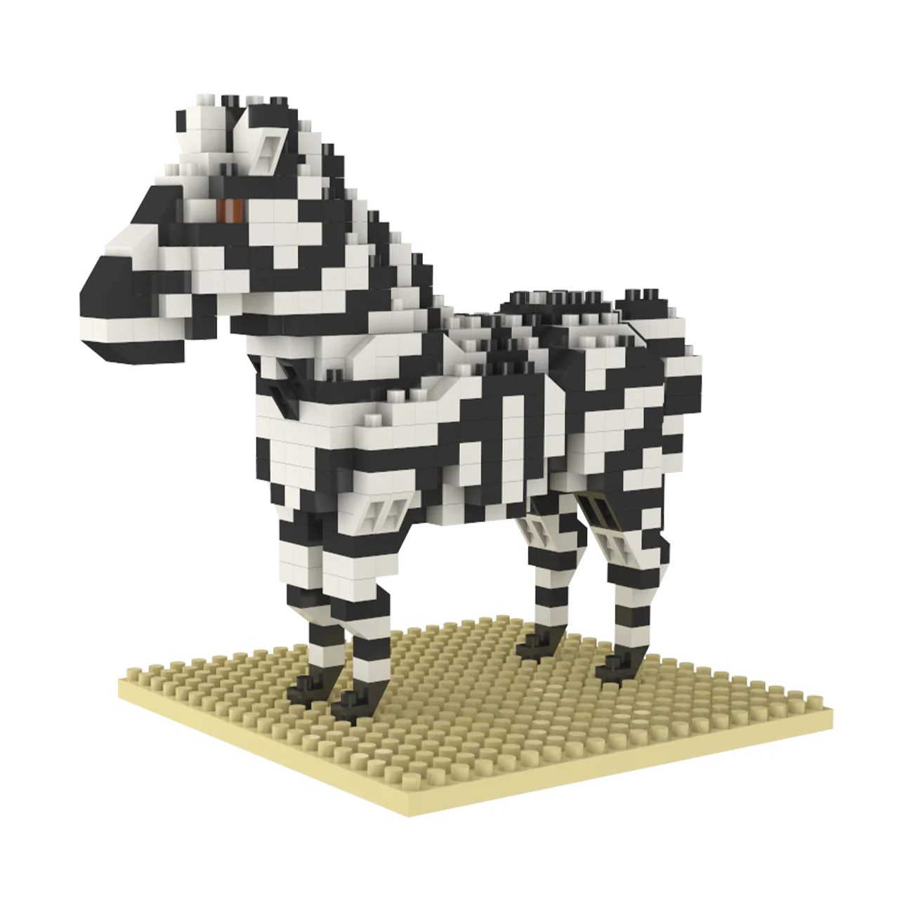 Zebra - Image 6