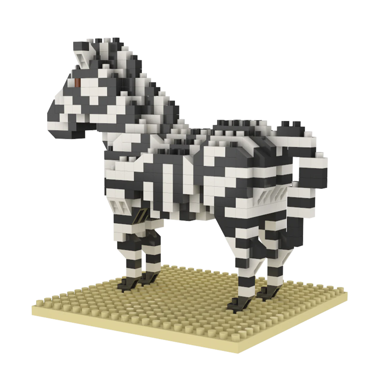 Zebra - Image 9